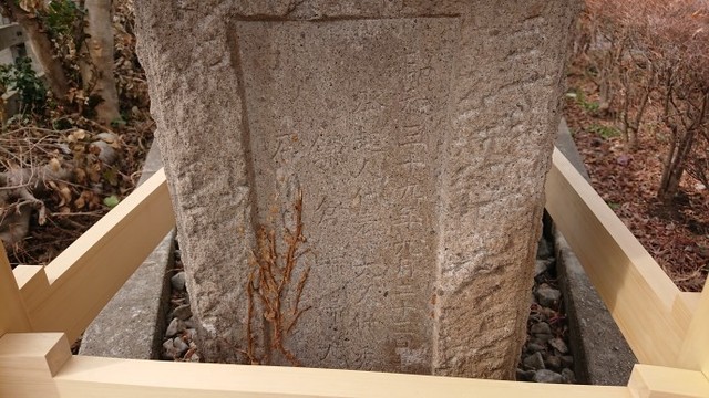 DSC_4271.JPG