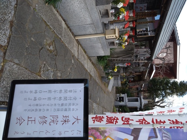 DSC_1218.JPG