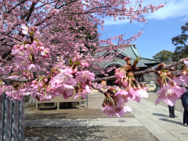 DSC_3311.JPG