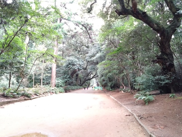 DSC_3321.JPG