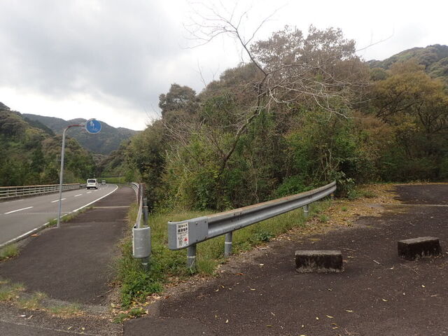 P4100016.JPG