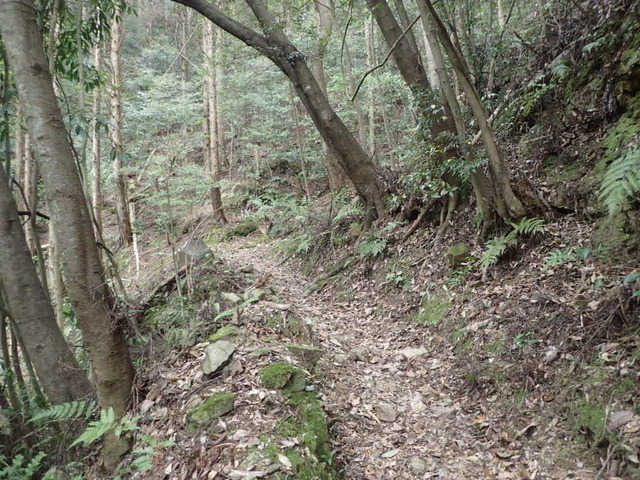 P4100020.JPG