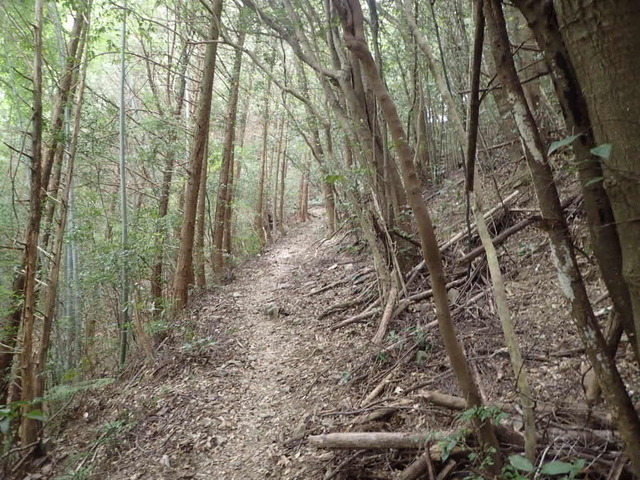 P4100029.JPG