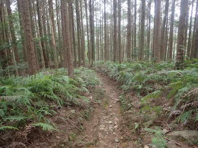 P4100037.JPG