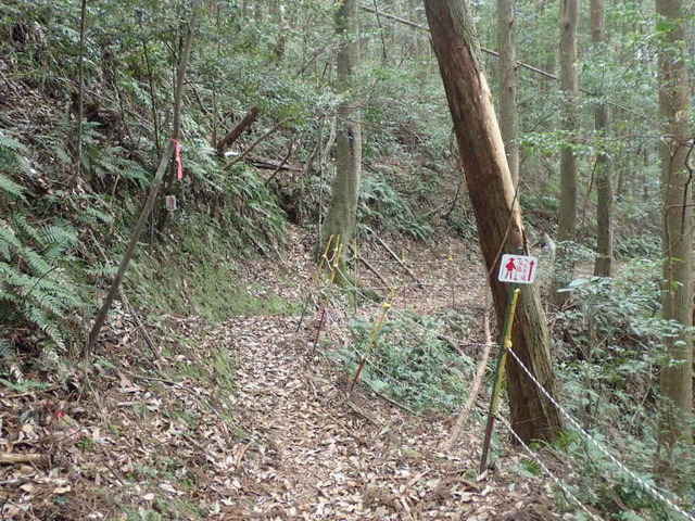 P4100038.JPG