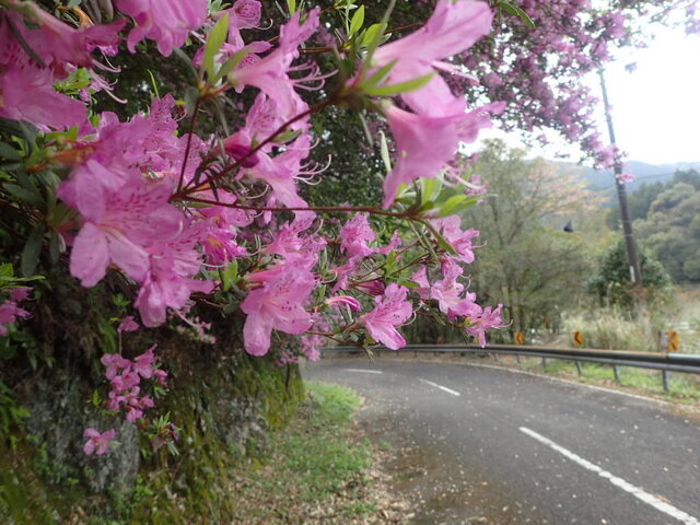 P4100039.JPG