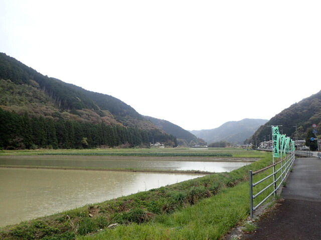 P4100041.JPG