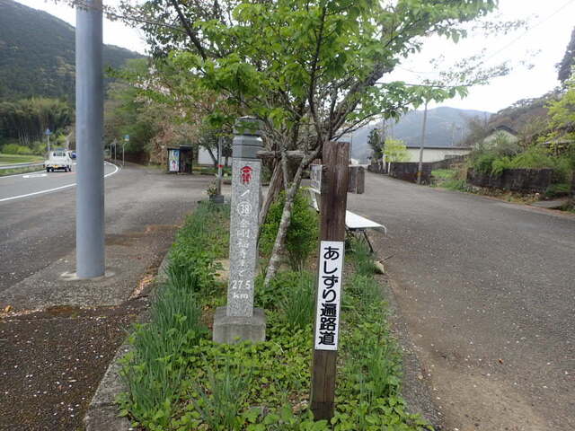 P4100043.JPG