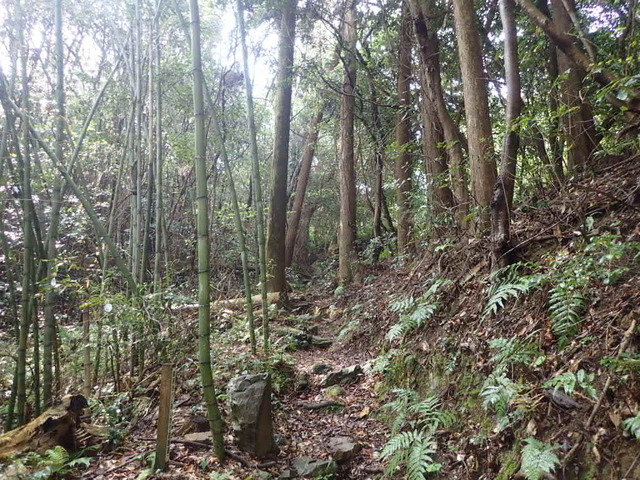 P4110077.JPG