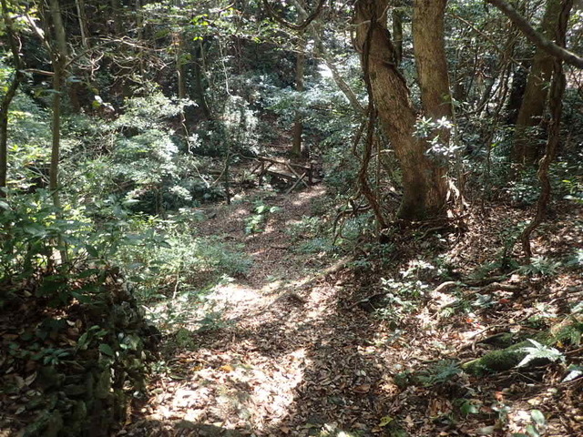 P4110081.JPG