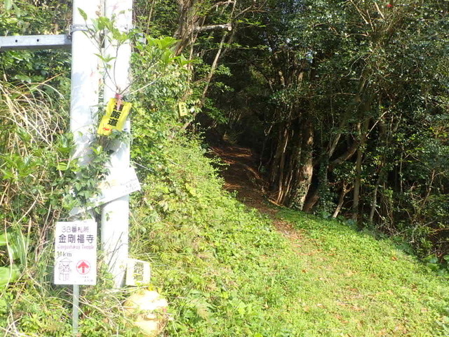 P4110102.JPG