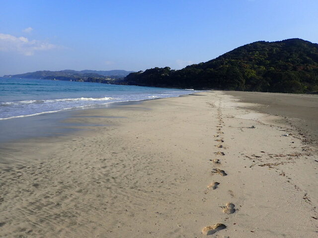 P4110117.JPG
