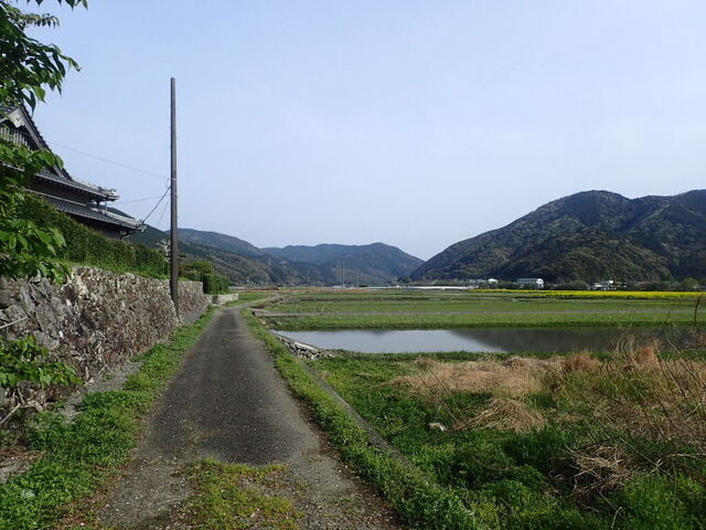 P4120147.JPG