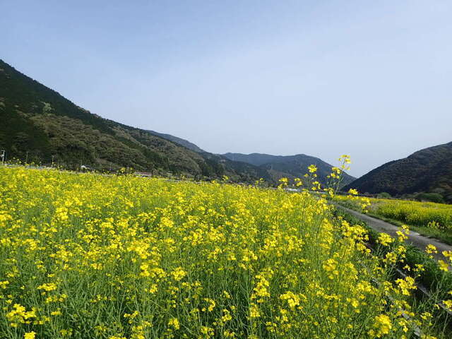 P4120149.JPG