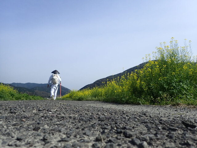 P4120151.JPG