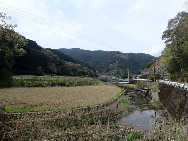 P4120171.JPG