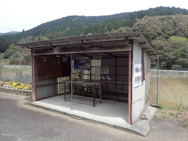 P4120173.JPG