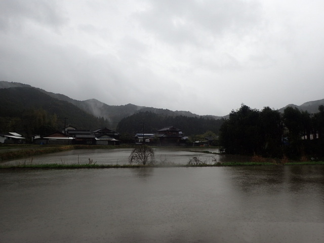 P4130200.JPG