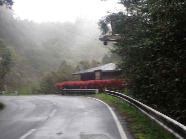 P4130206.JPG