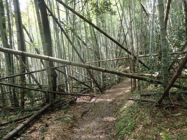 P4130221.JPG