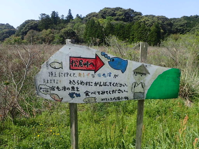 P4140251.JPG