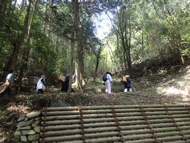 P4140254.JPG