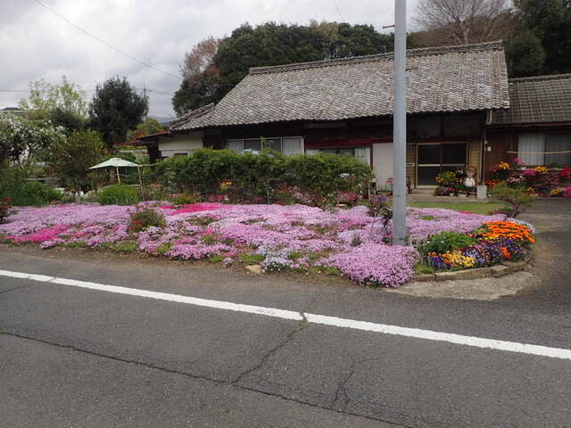 P4140271.JPG