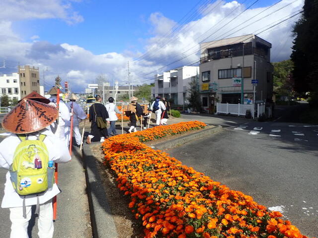 P4150294.JPG