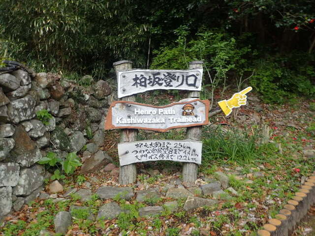 P4150307-07a83.JPG
