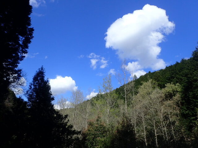 P4150330.JPG