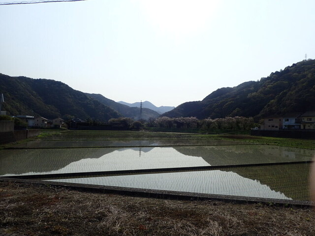 P4160353.JPG