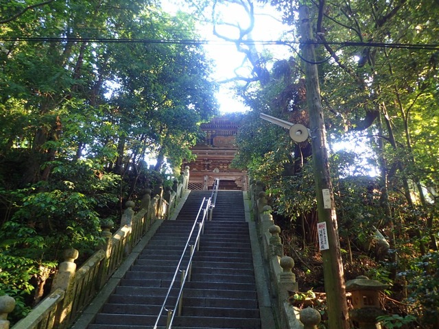 P5100017.JPG