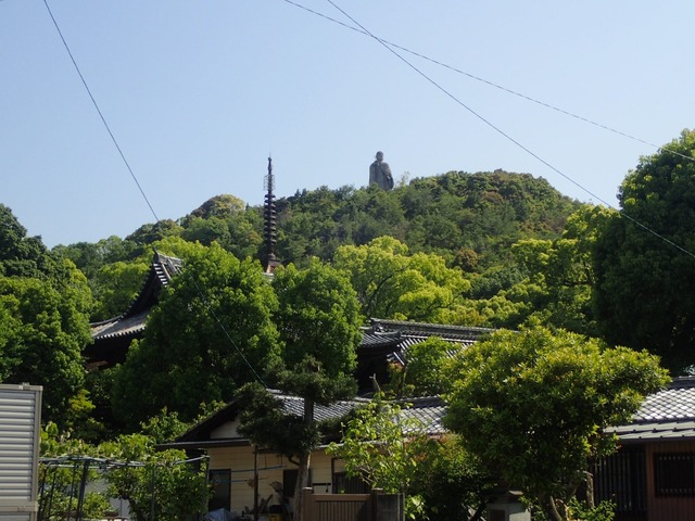 P5100024.JPG