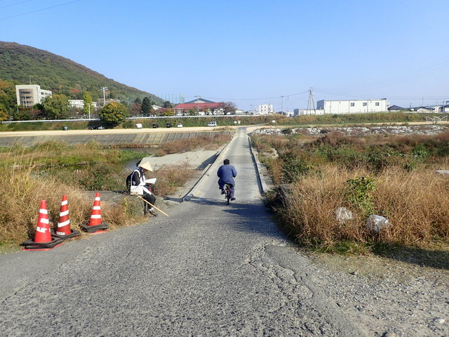 PB110177.JPG