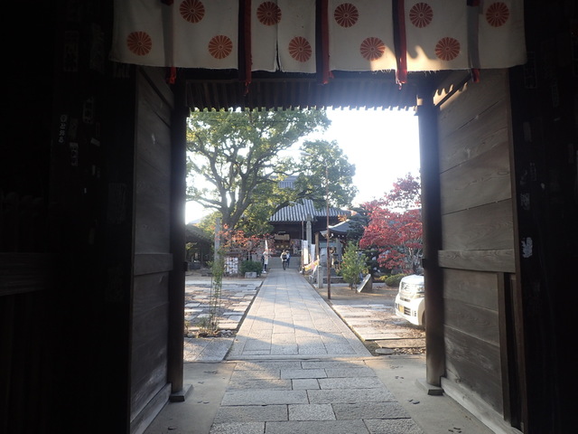PB110180.JPG